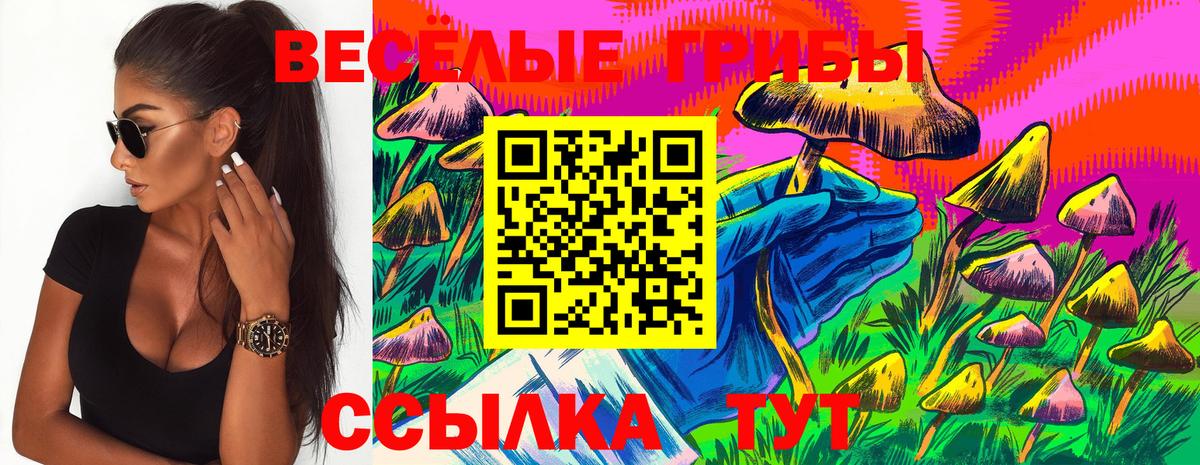 Галлюциногенные грибы прущие грибы Октябрьский